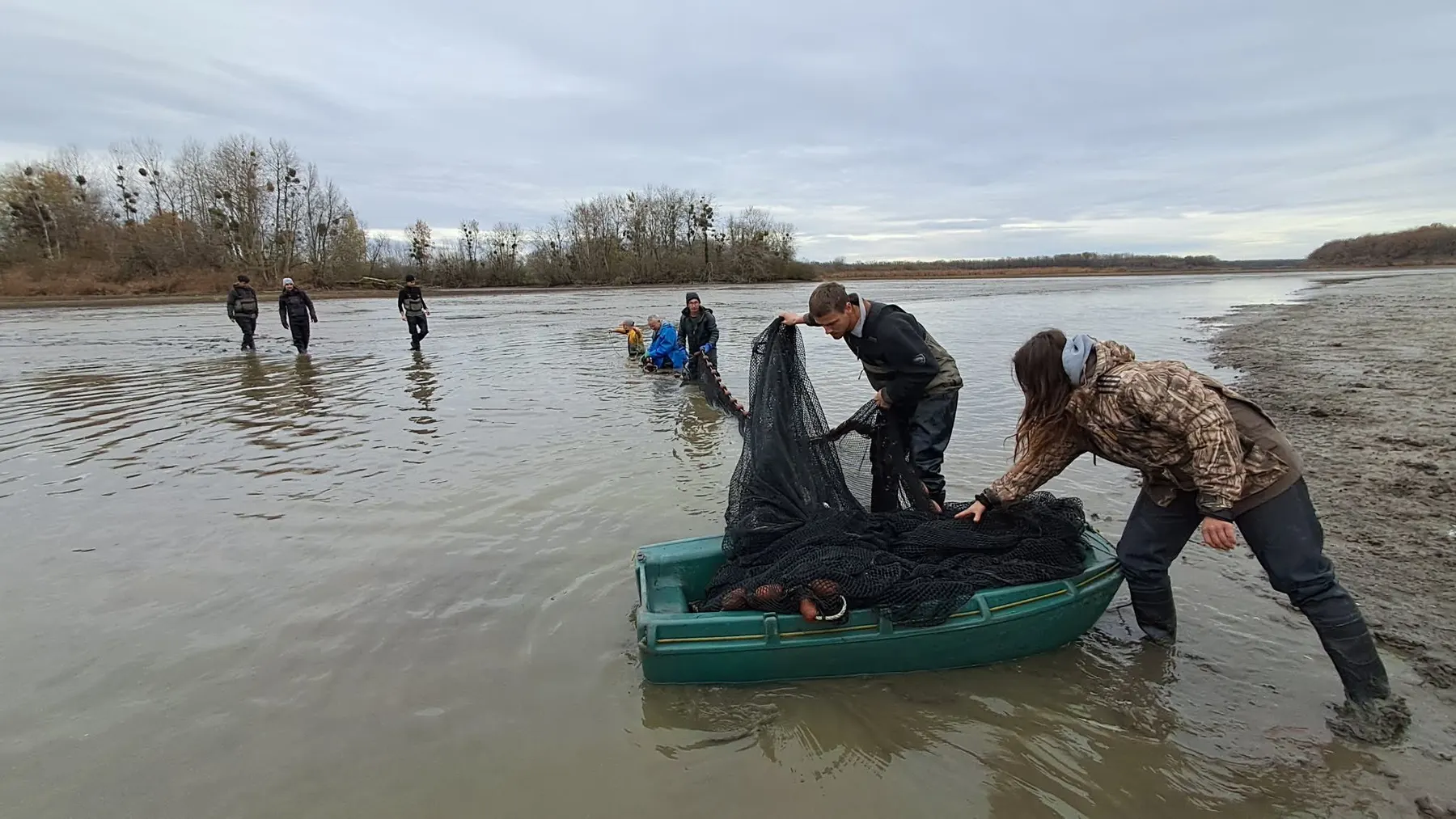 Relevage d'un filet depuis une barque verte