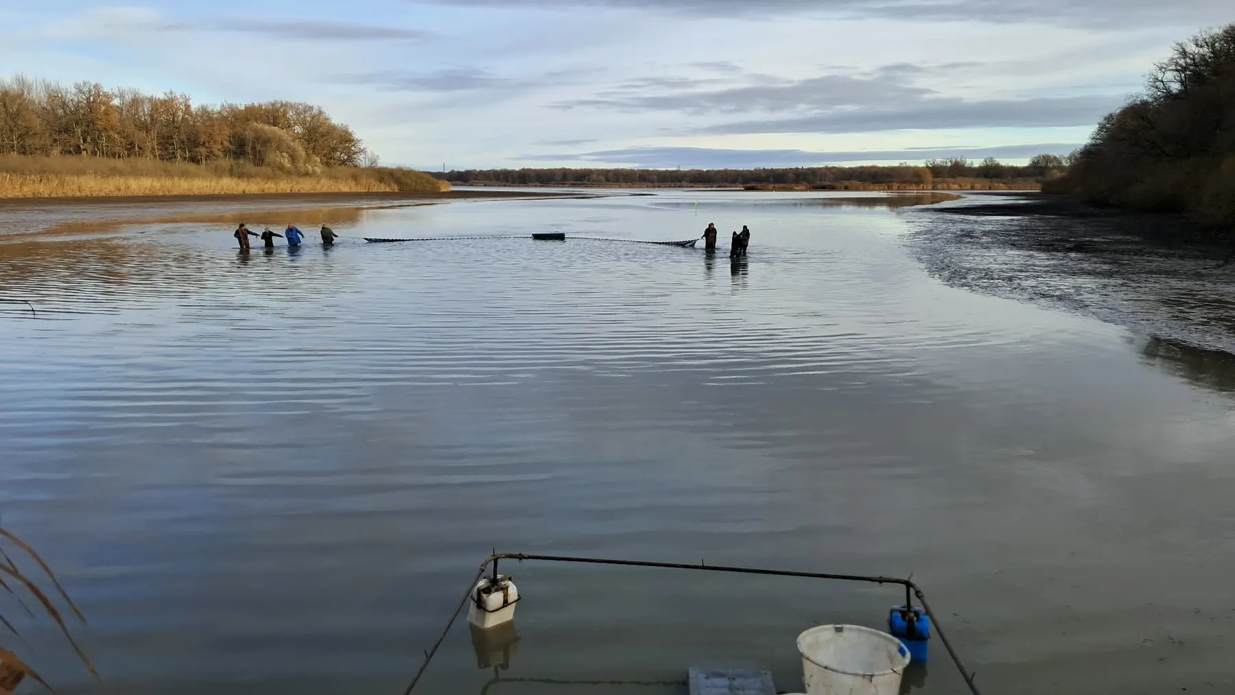 Tri de poissons sur table au milieu des roseaux